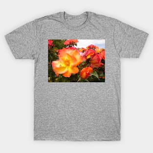 Red Yellow Orange Roses T-Shirt